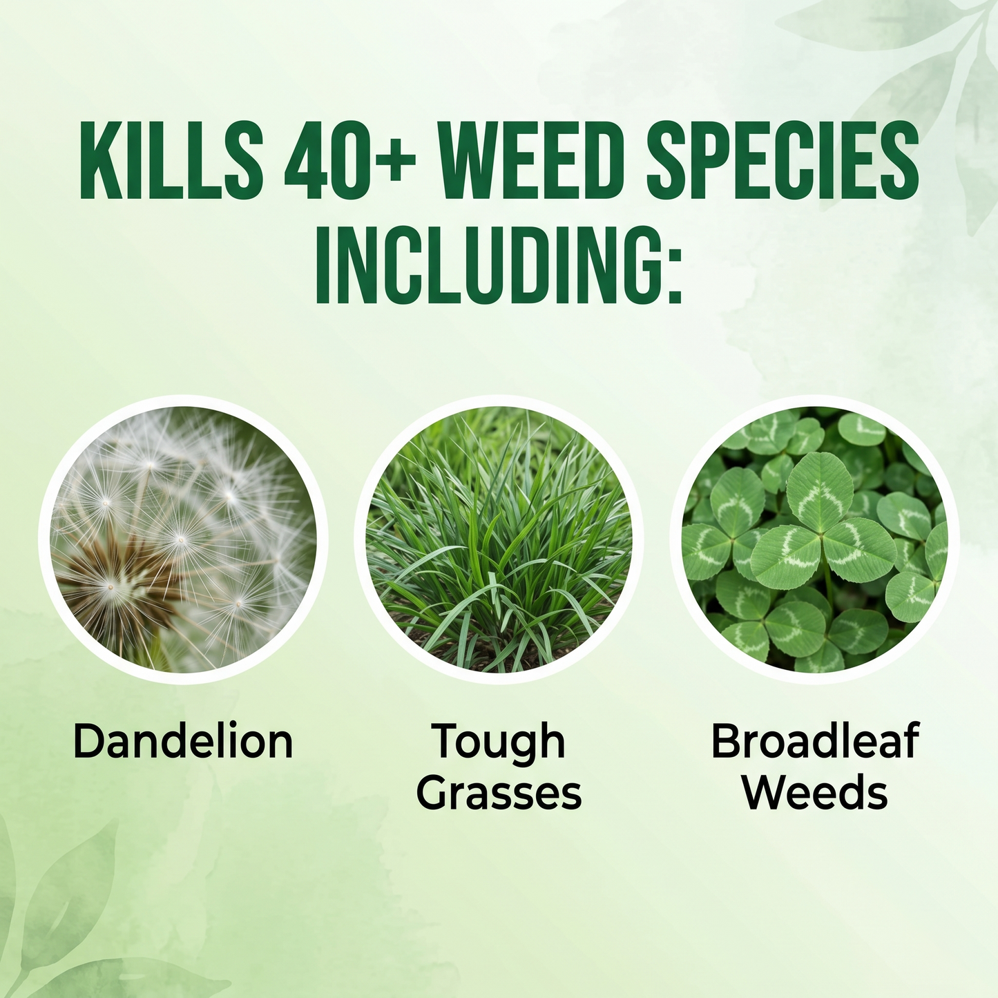 🔥Vigoro® Advanced 2-in-1 Pro+ Herbicide | Upgraded Formula for 6-Hour Rapid Kill, Root Eradication & Destroys Glyphosate-Resistant Weeds